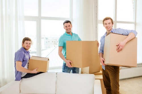 Modern bedroom and living room storage in Oldford